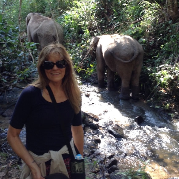 Linnea Pergola volunteering at Elephant Nature Park