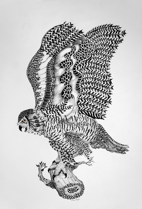 Pen and Ink of a snowy Owl by Linnea Pergola